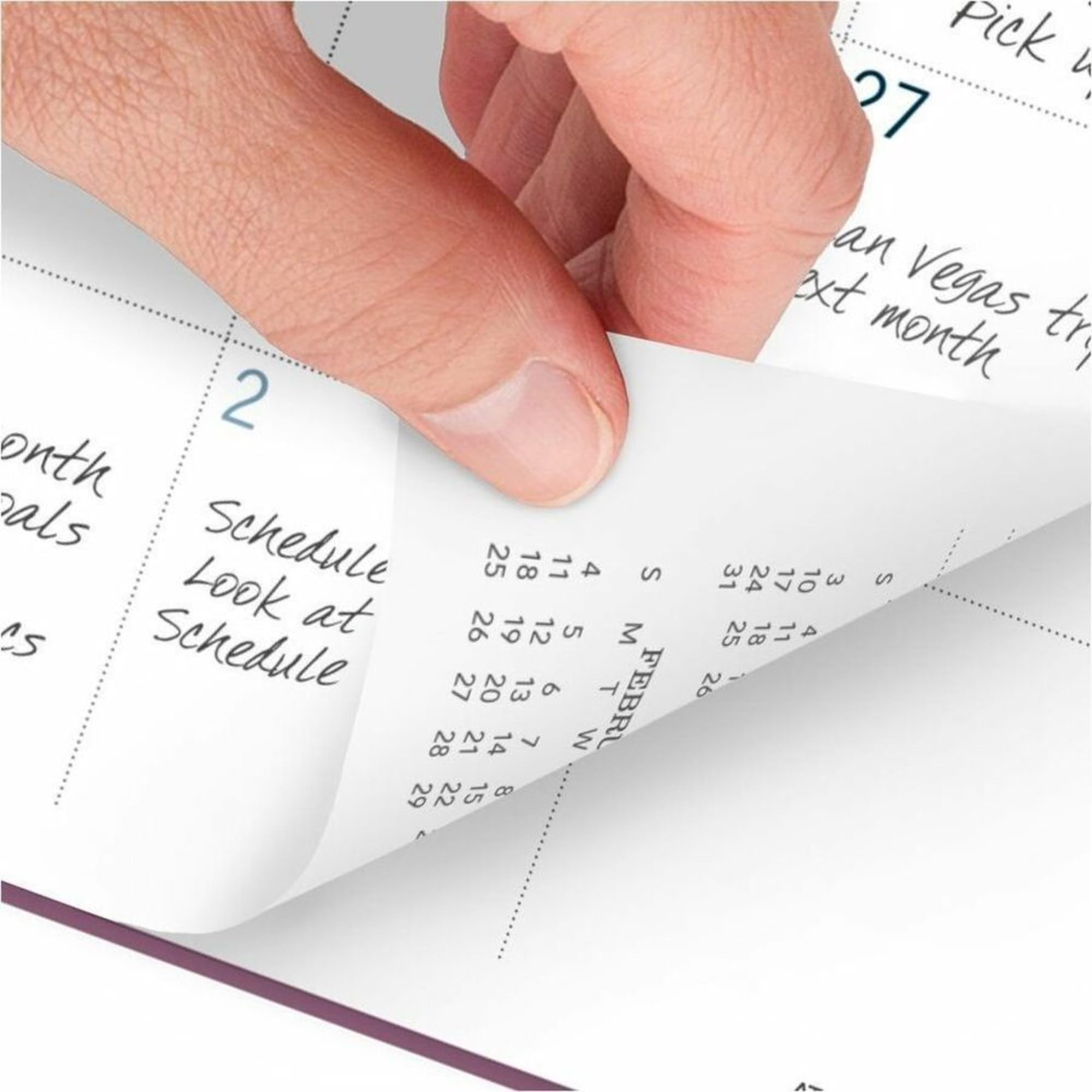 AT-A-GLANCE - Agenda semanal y mensual 2022, 8-1/2 x 11 pulgadas, grande, romance oscuro (5254-905)