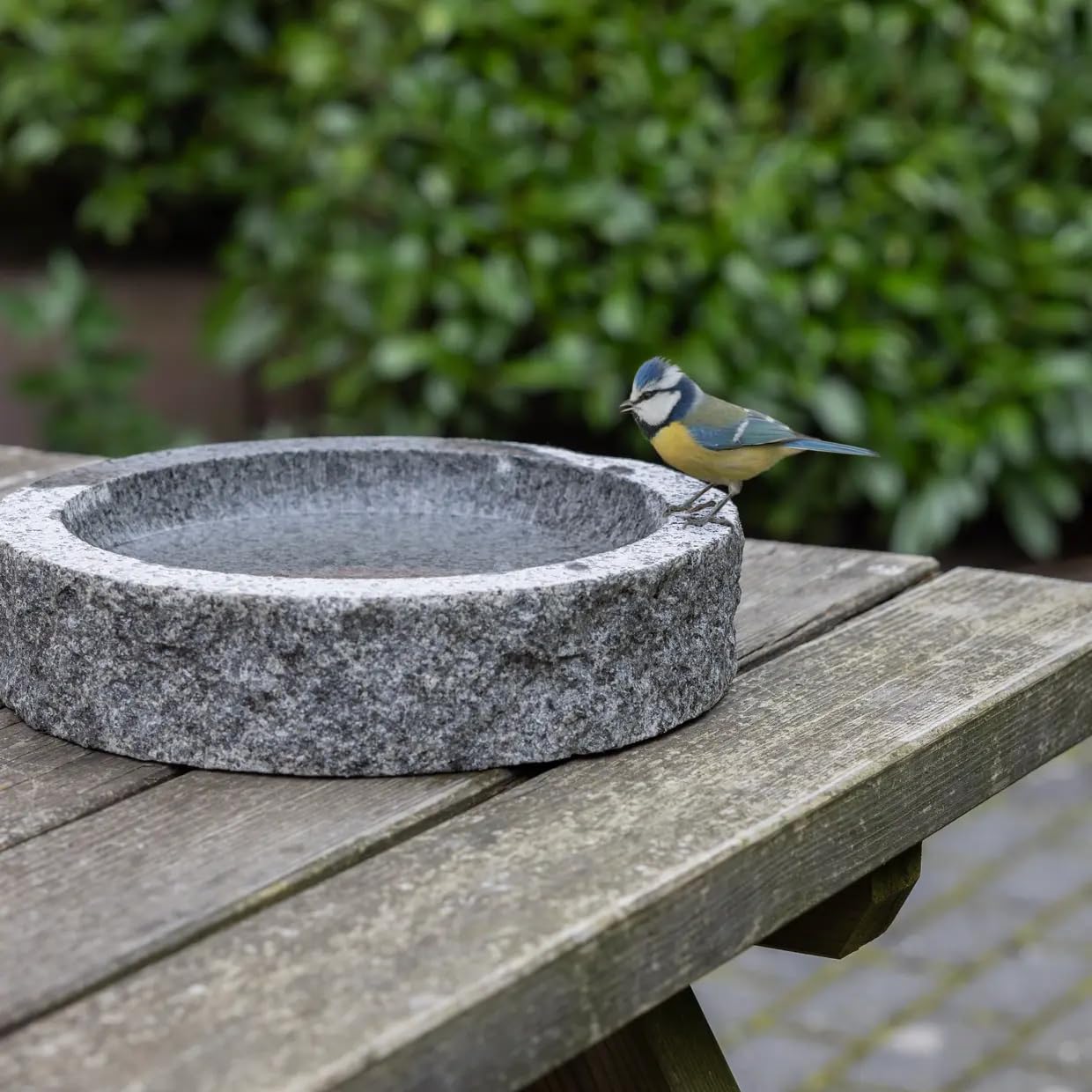 Baignoire pour Oiseaux en Granite Ronde S