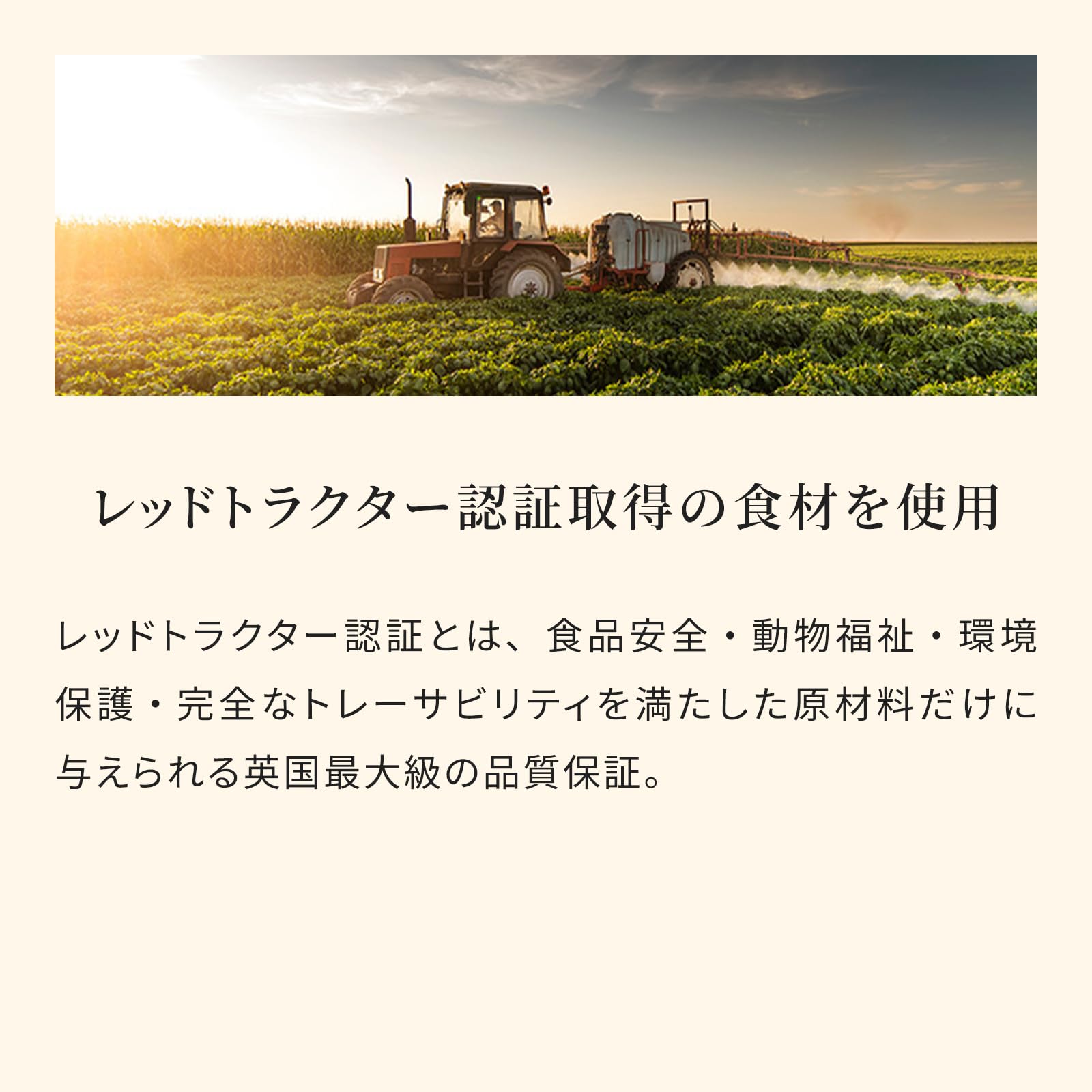 Amazon.co.jp: エッセンシャル ドッグフード ノーティカルリビング 1.8