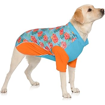 best brush for terrier