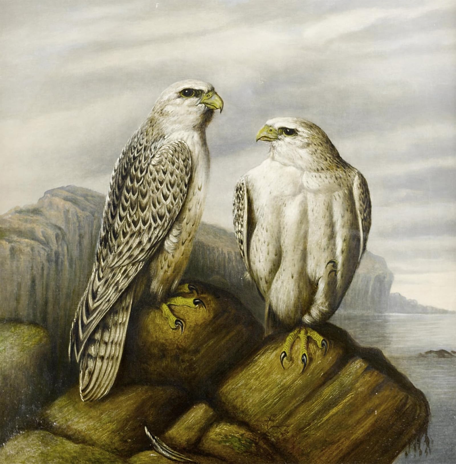 SERENDIPITP Vintage Wall Art Canvas Nordic Poster Canvas Print Picture Gyr Falcons on a Ledge by Wolf Wall Art Poster for Home Decor 60x90cm