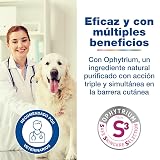 Ver la foto 4