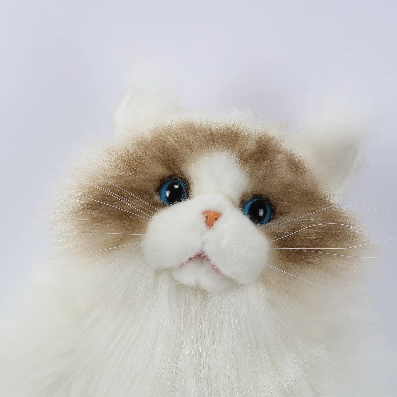 Anal yalash porno HAYVONLAR bilan jinsiy aloqa multfilmlar