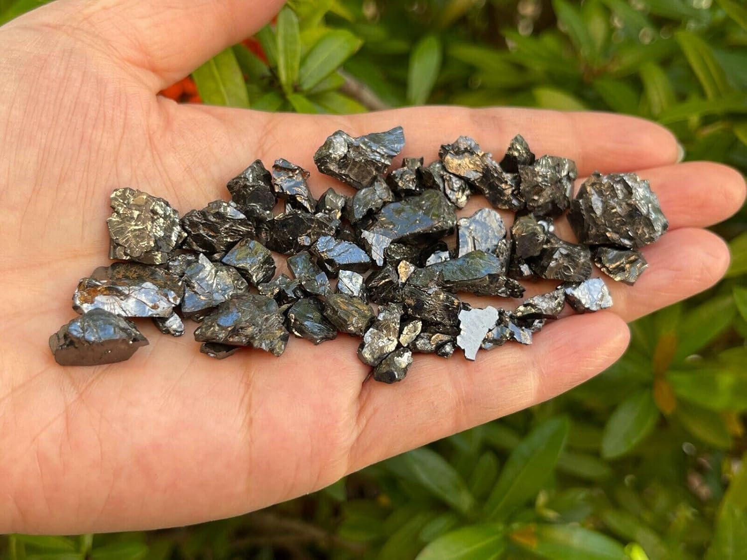 GAF TREASURES 4 oz Elite Noble Shungite – Small Raw Natural Crystal Stones (0.2–1") for Water Purification, Meditation, Reiki & Chakra Balancing