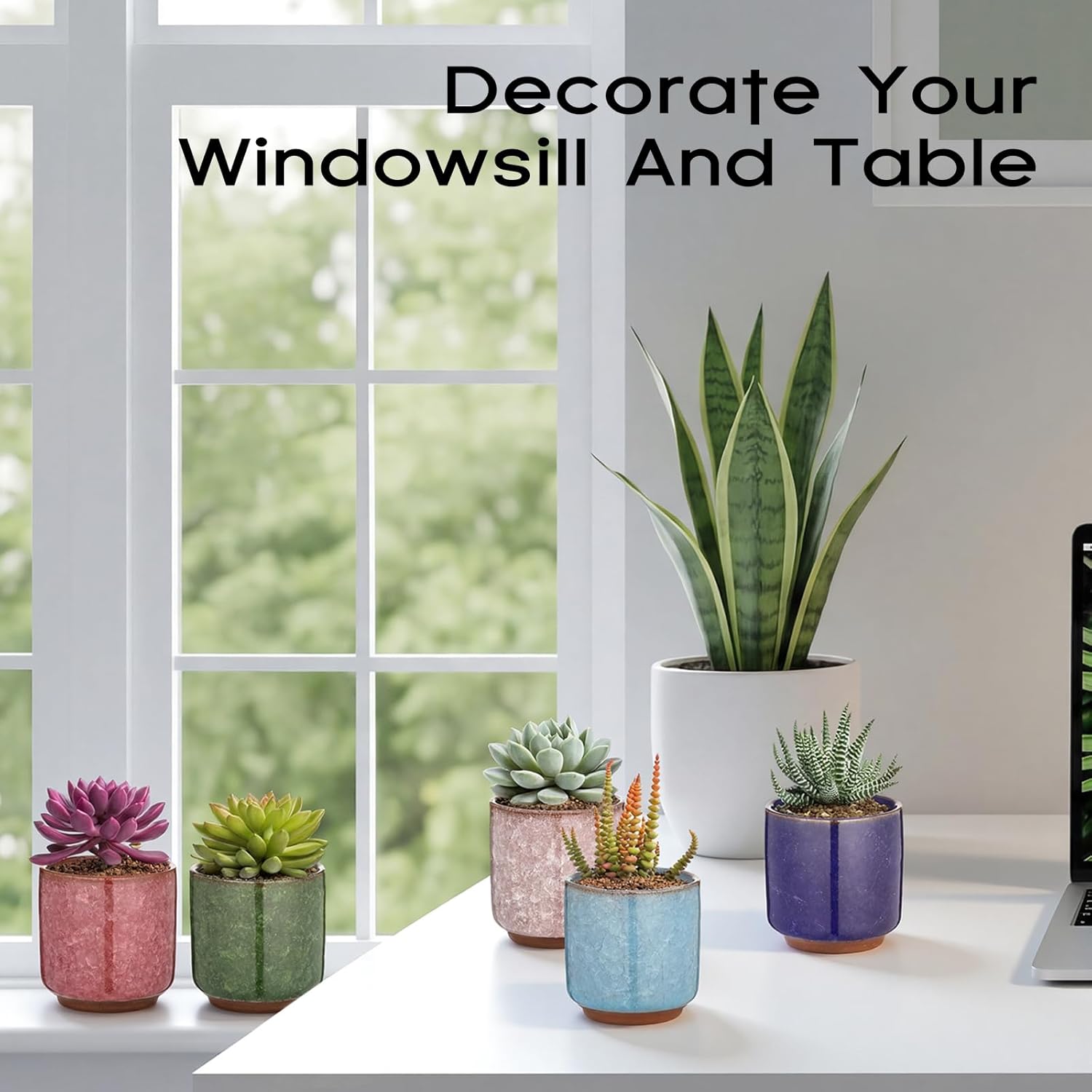 24 Pack 2.36 Inch Small Ceramic Succulent Planter Pot with Drainage Hole, Mini Ice Crack Glaze Flower Pots for Indoor Succulent Planters for Cactus Plant Lover Gifts for Women Mom Coworker