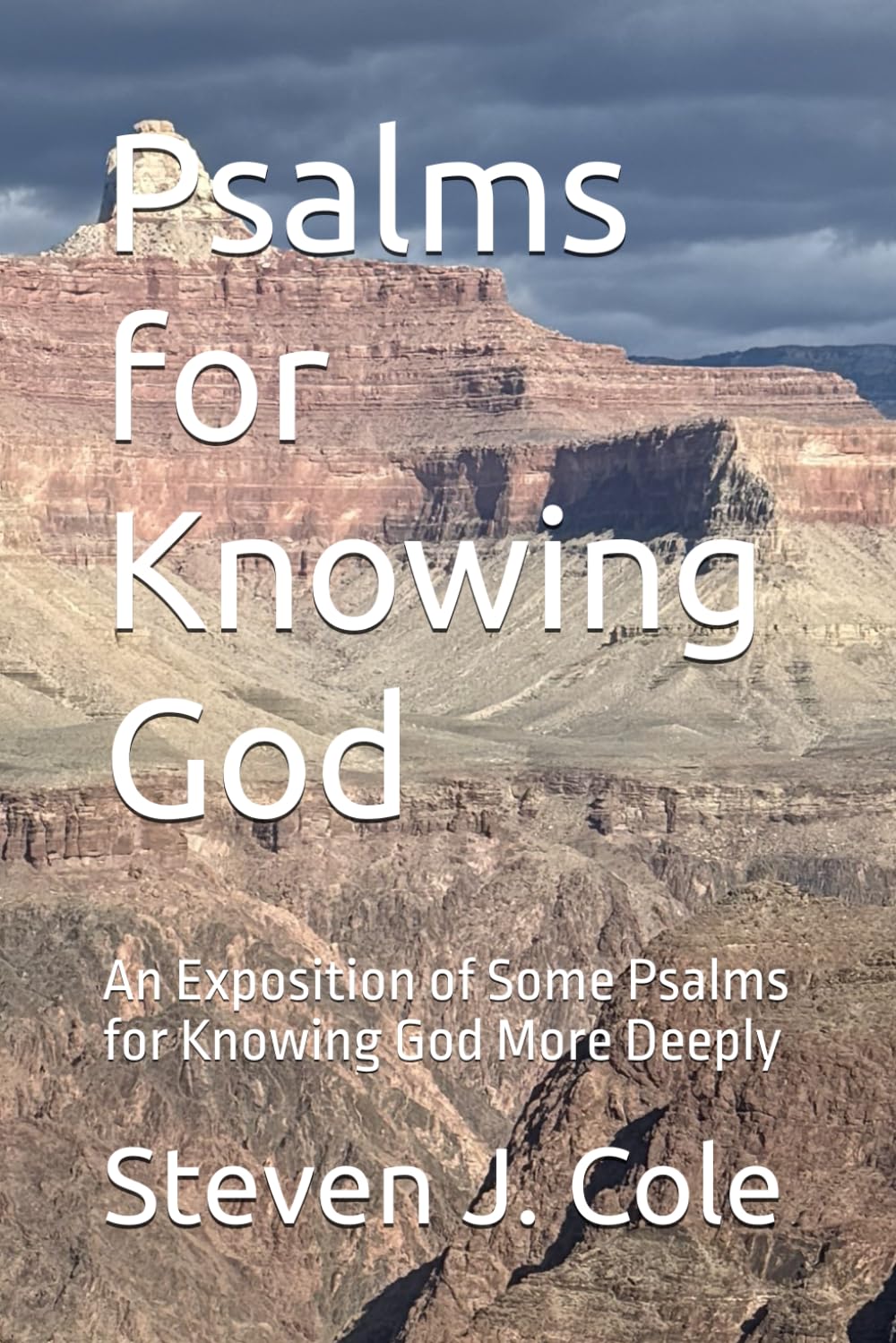 Psalms for Knowing God: An Exposition of Some Psalms for Knowing God More Deeply (Riches from the Word)