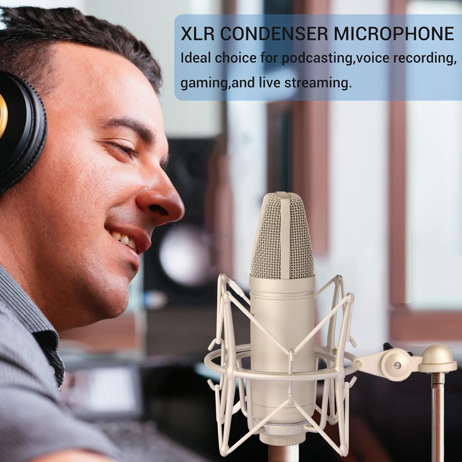 Condenser Microphone XLR, Large Diaphgram Professional Recording Cardioid Microphone Kit with Shock Mount, for Studio, Live Streaming, Podcas (Silver) - Image 2