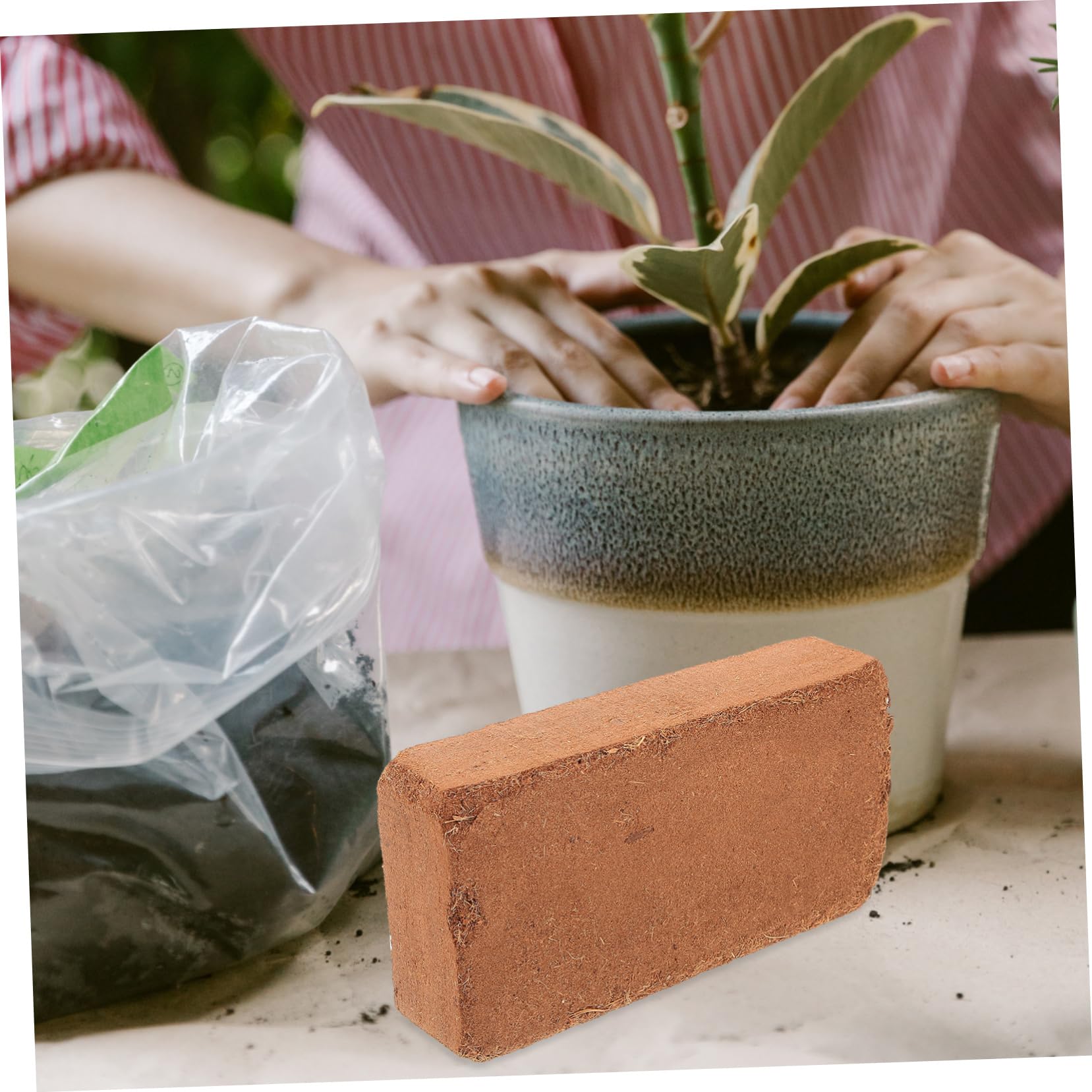 Bloc de Terreau Nutritif Compact 650g pour Semis Intérieur et Extérieur