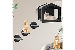 All in one Cat Wall Shelves, Perches and Condo for Space Saving and Cat Entertainment