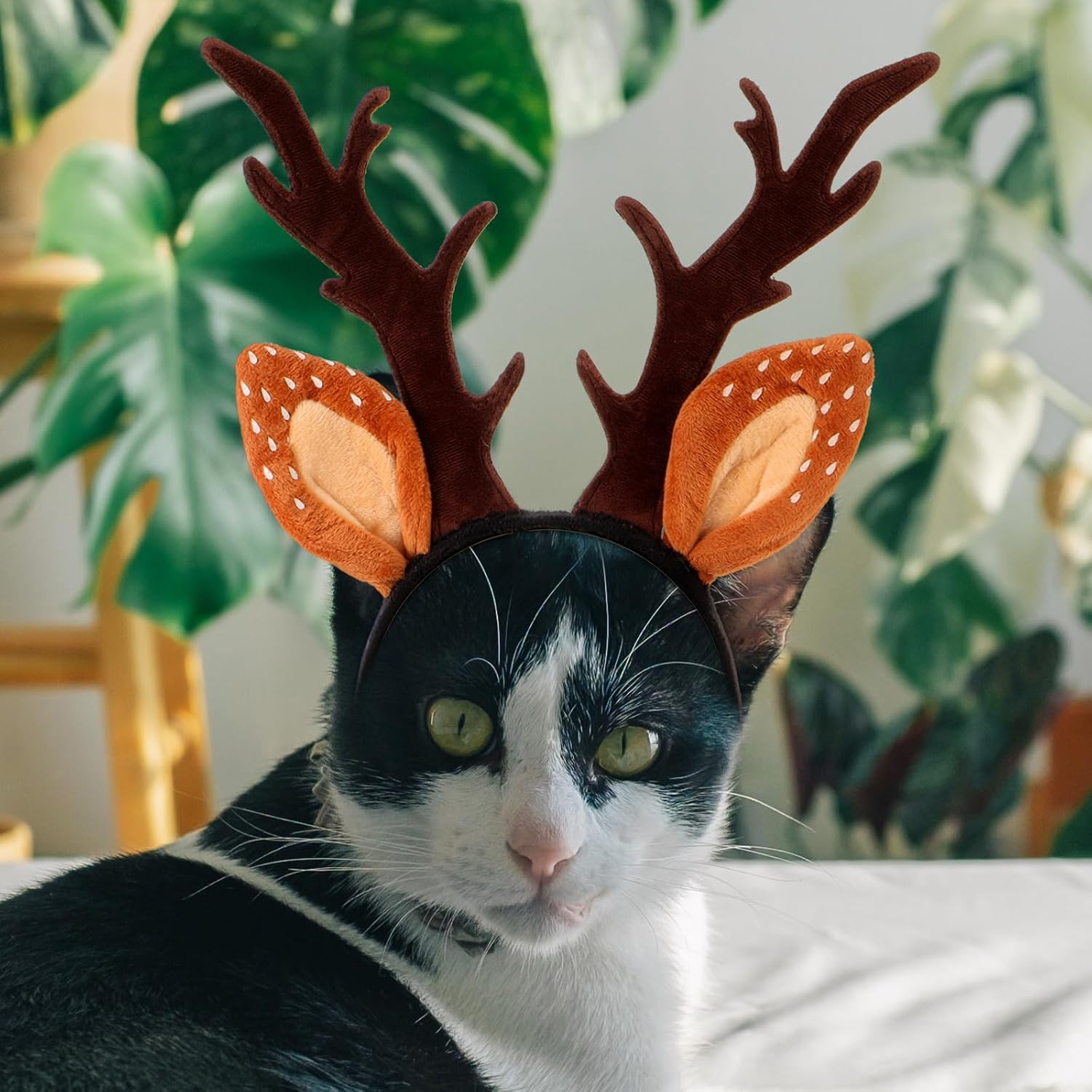 Hemobllo Dog Christmas Headband Cat Reindeer Antlers Classic Adjustable Elk Hat Headwear for Cats and Kittens Comfortable Non-deformable Dog Antler Headband for Holiday Photography - Size S