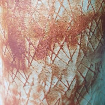 Amazon.co.jp: 信楽焼 伝統工芸士 神崎宗昭作火色印紋花入 高さ