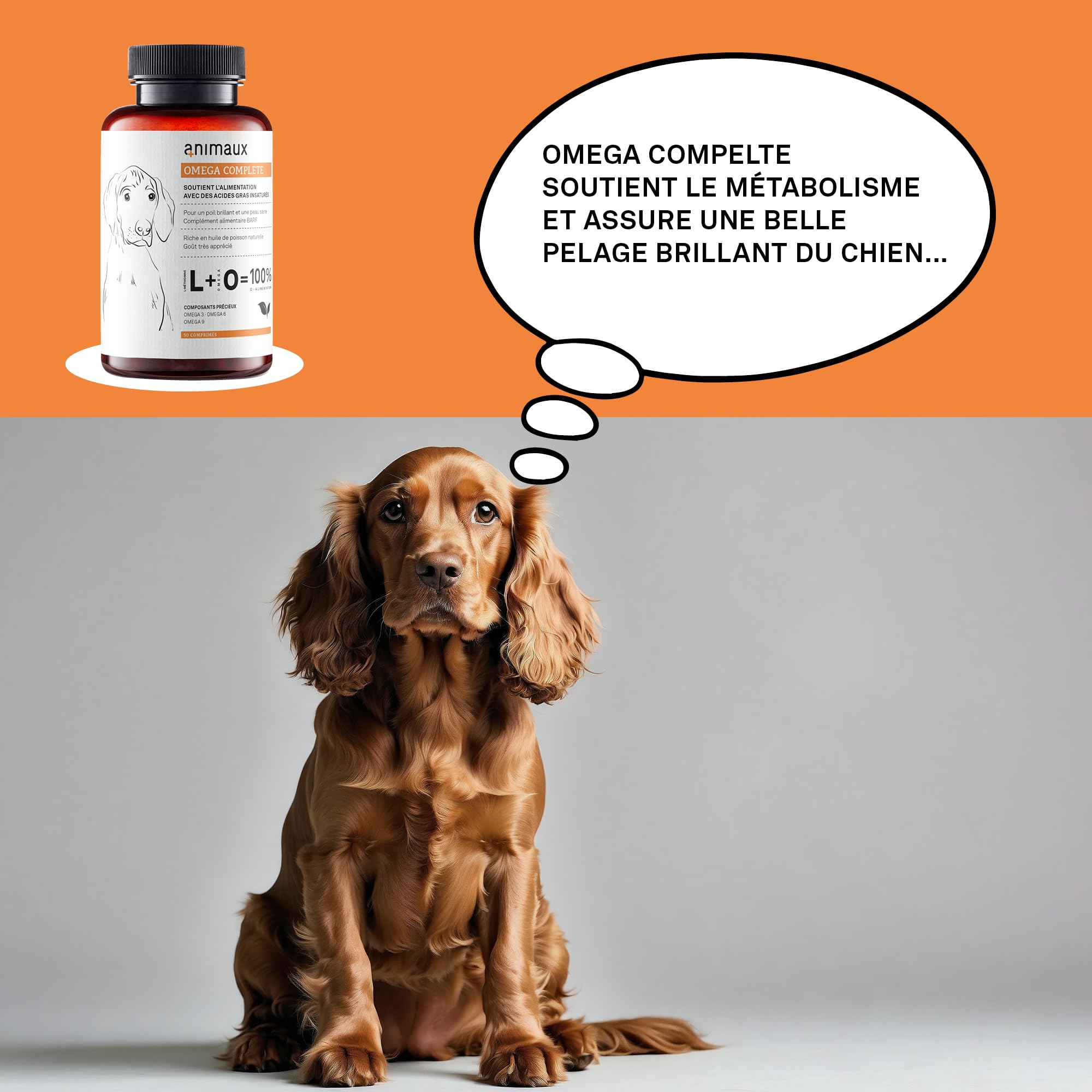 Omega 3, 6 & 9 pour Chiens - 50 comprimés à mâcher - Huile de Poisson Naturelle avec acides Gras pour Le métabolisme, la Formation des os, la Peau et Le Pelage - animaux Omega Complete Dogs