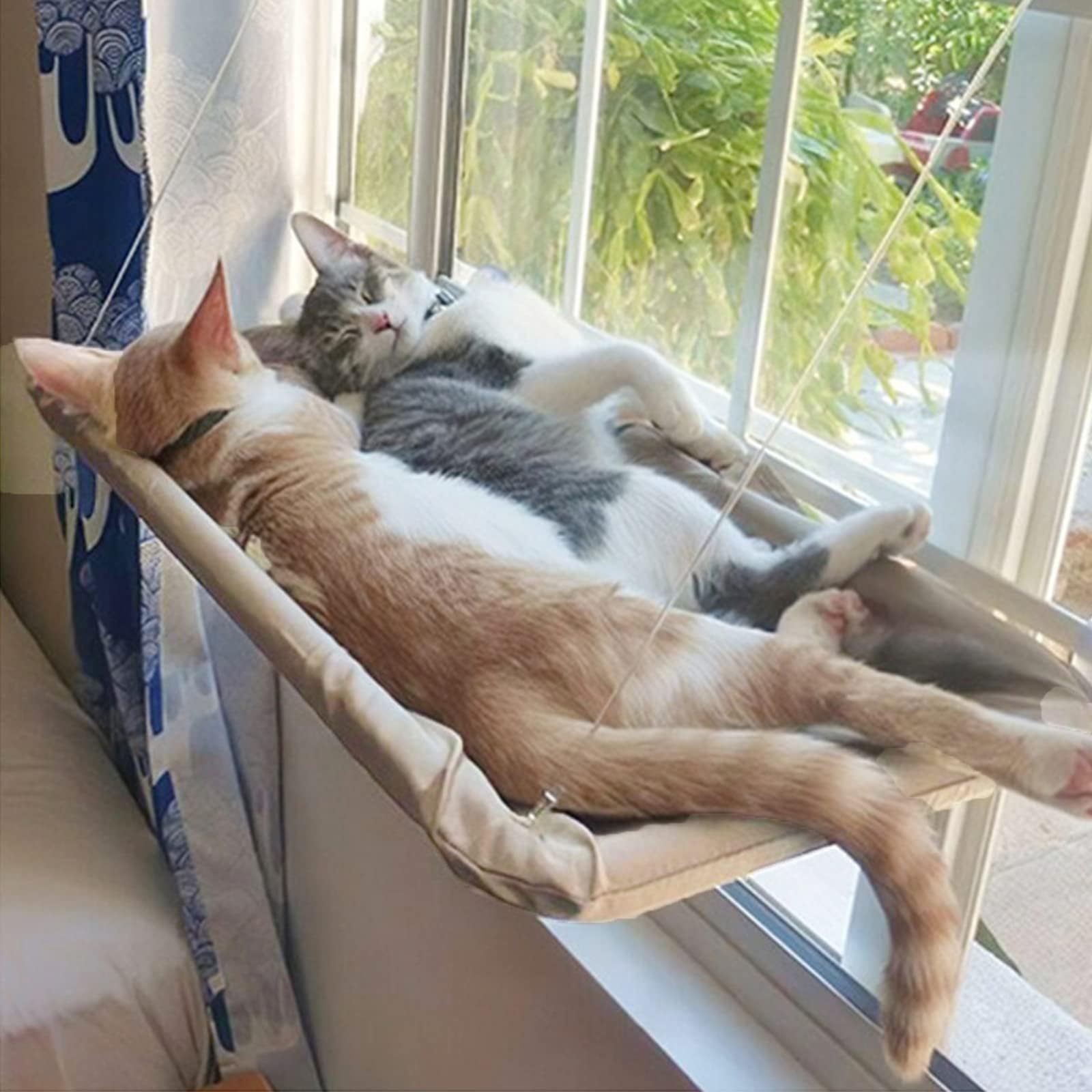 Cirulli Hamaca de Ventana para Gato, Cama Colgante de Interior Reclinable para Gatos de hasta 25kg, Grande para Siesta y Tomar el Sol