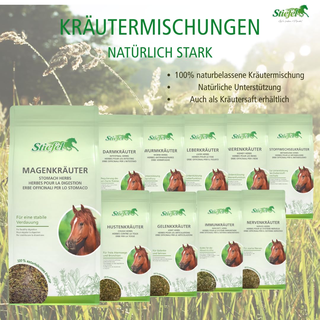 Stiefel Metabolism Herbs - Miscela Di Erbe 1kg Per Il Metabolismo - 3