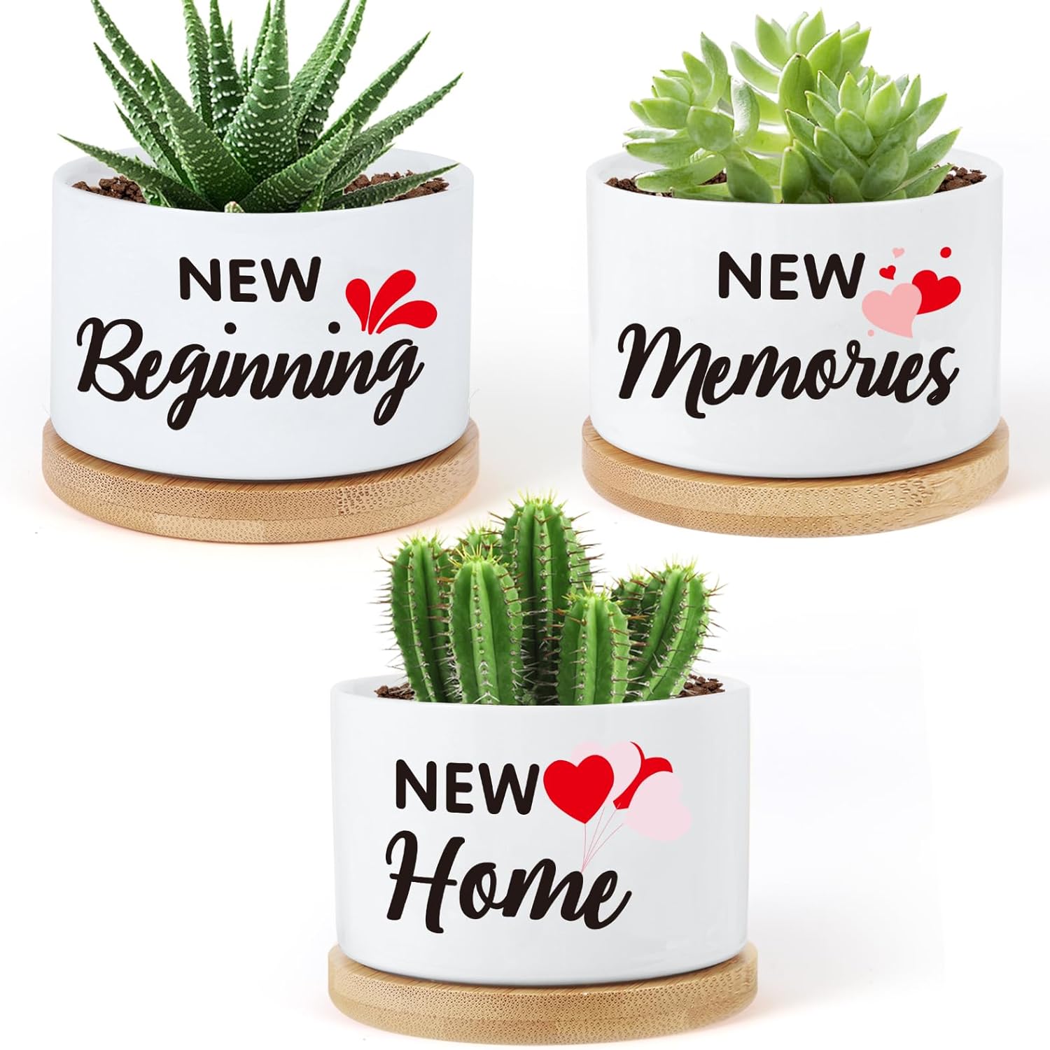 4 Pcs Golden Girls Merchandise Ceramic Plant Pots,Funny Golden Girls Gifts for Women,for House Plants Garden Planters Succulent Pots, with Drainage Holes and Saucer (White)