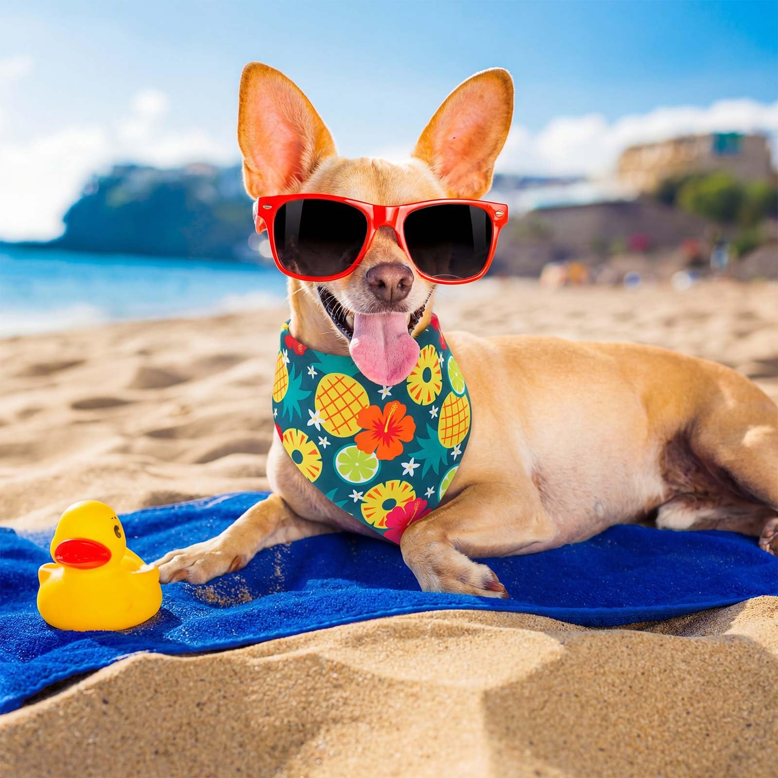 Aliceset 240 bandane estive per cani hawaiane sfuse frutta tropicale Aloha modello colorato fazzoletto per cani bavaglini triangolari sciarpa per animali domestici regali morbidi accessori per costumi