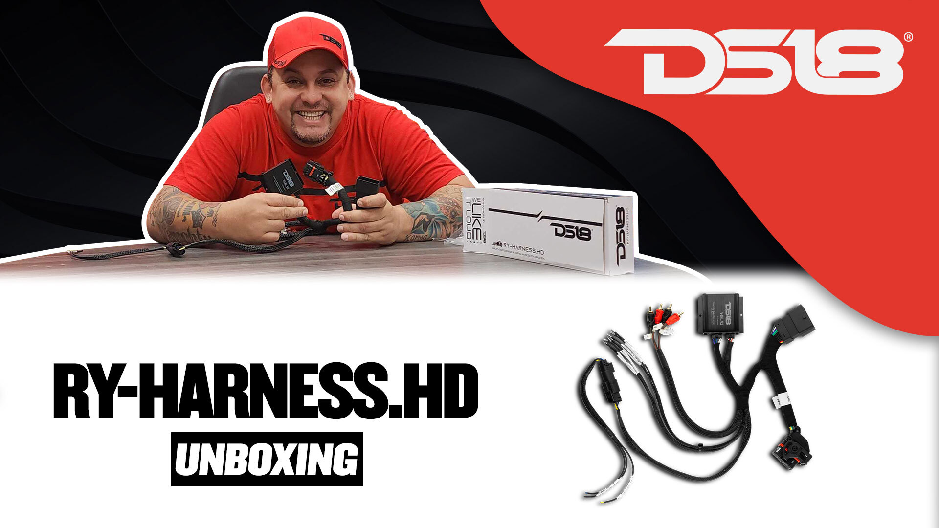 Amazon.com: DS18 RY-Harness.HD Harley Davidson Plug and Play