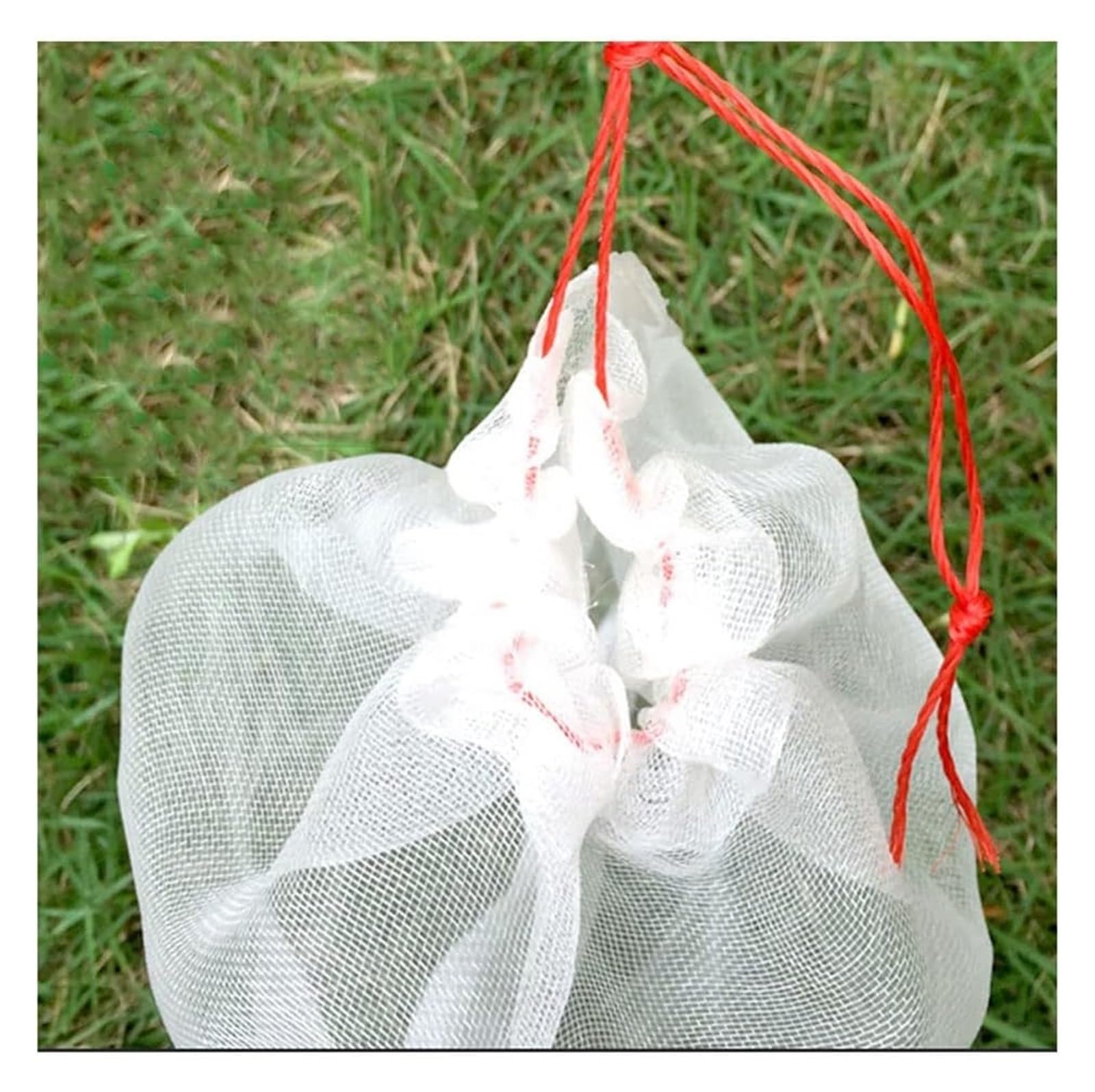 Bolsas Protectoras contra Insectos para Uvas, Bolsas de Malla for Frutas, Verduras y Uvas (50 Unidades, 15 x 10 cm - 35 25 cm)(25x15cm)