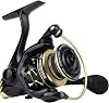 KastKing Valiant Eagle Gold Spinning Reel - 6.2:1 High-Speed Gear Ratio, Freshwater and Saltwater Fishing Reel, Faster Line Retrieve, Braid Ready Spool, 71 Shielded Stainless Steel Ball Bearings