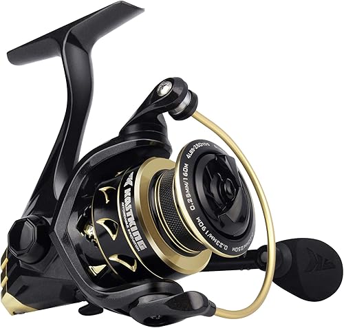 KastKing Valiant Eagle Gold Spinning Reel - 6.2:1 High-Speed Gear Ratio, Freshwater and Saltwater Fishing Reel, Faster Line Retrieve, Braid Ready