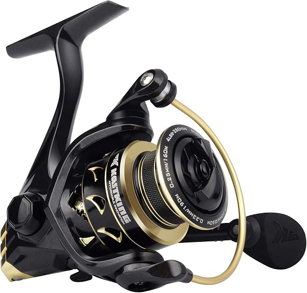 KastKing Valiant Eagle Spinning Reel - 6.2:1 High-Speed Gear Ratio, Freshwater and Saltwater Fishing Reel, Faster Line R