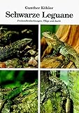 Schwarze Leguane. Freilandbeobachtungen, Pflege und Zucht. - Gunther Köhler