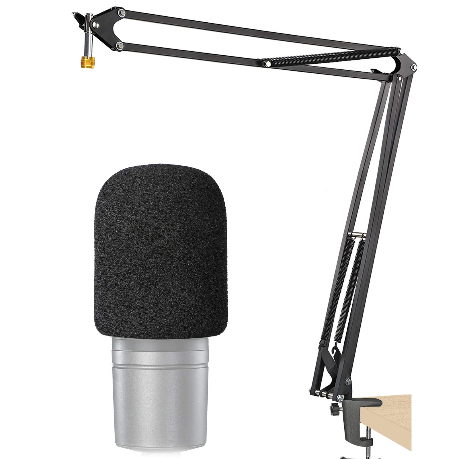 AT2020 Mic Stand with Pop Filter - Microphone Boom Arm Stand and Foam Windscreen Compatible with Aud