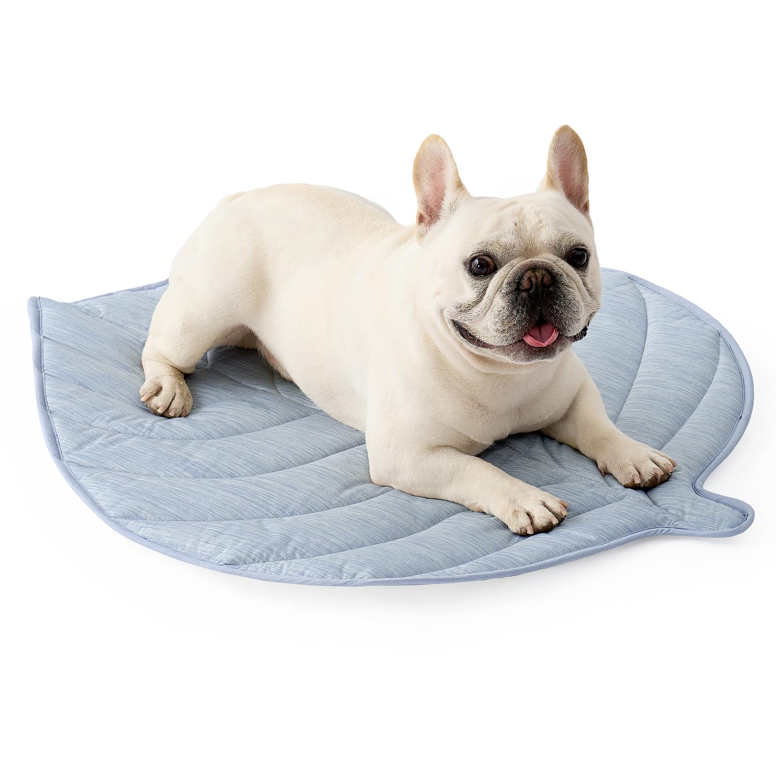 COZY KISS Tapis Rafraîchissant Petit Chien & Chat, 83x71cm, Q-Max>0.4, Bleu