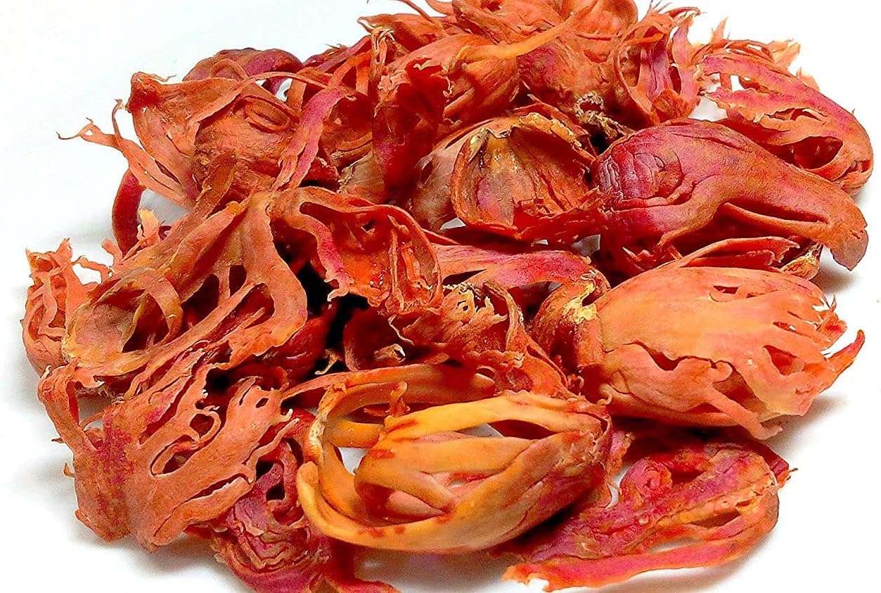 Stylo Fresh Big Size Natural Organic Original Mace Japatri javitri Whole 50 Grams