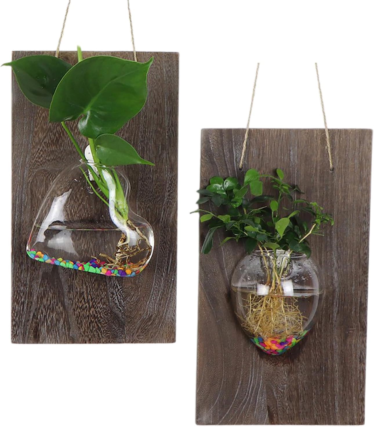 MINGZHE 2Pcs Plant Propagation Station, Wall Hanging Glass Planter, Wall Hanging Propagation Planters, Wall Planters Plant Terrarium for Indoor Hydroponics Plants (Mouse vase+