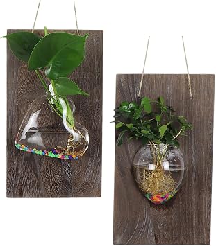 2 Pcs Wall Hanging Glass Vases, Solid Wood Wall Mounted Glass Vase, Clear Terrarium Display Vase for Hydroponic Flowers Plants, Home Office Garden Decor B
