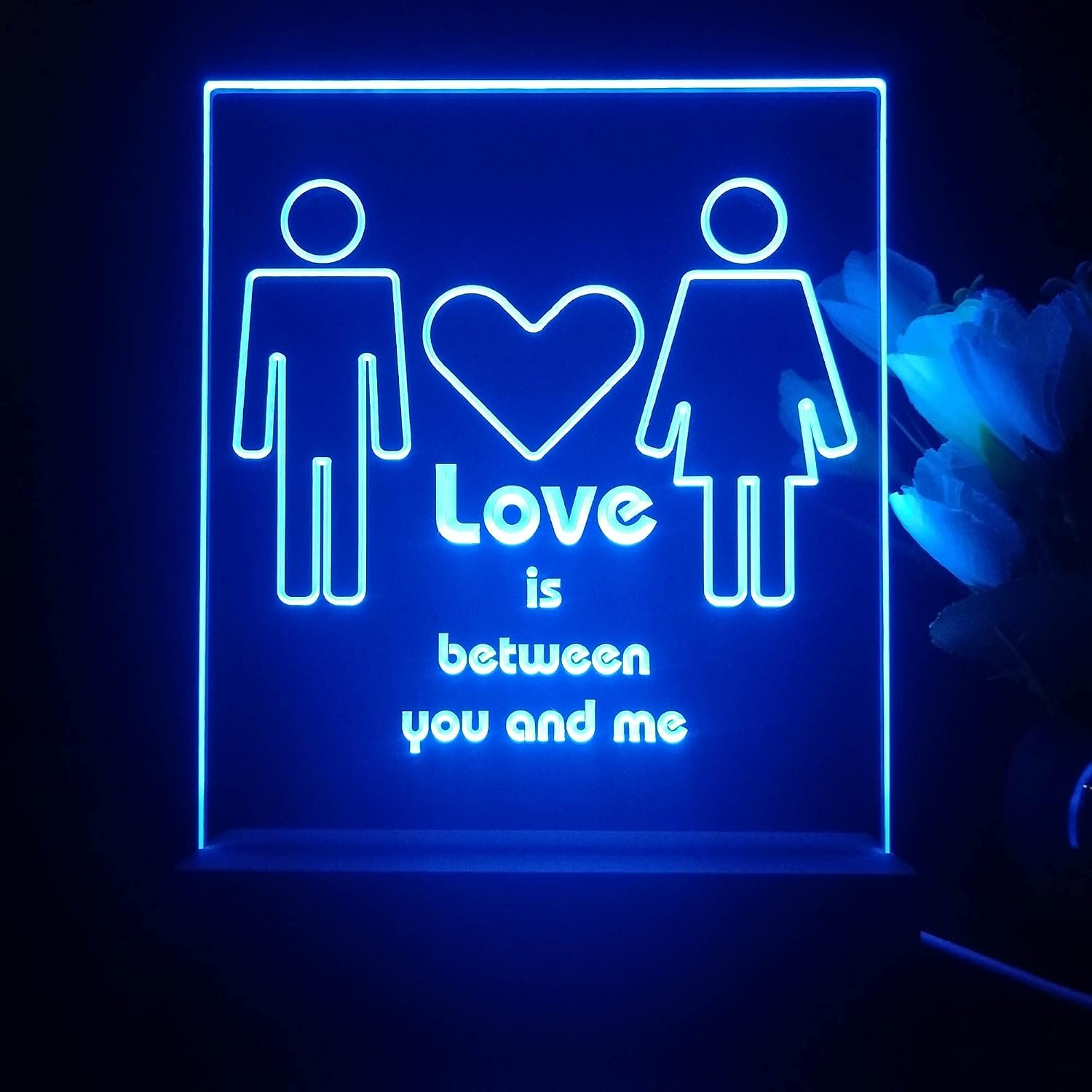ADVPRO Love is Between You and Me Heart Tabletop LED Neon Night Light & Lamp Color-Changing 4 Modes st5s12-j5020-c