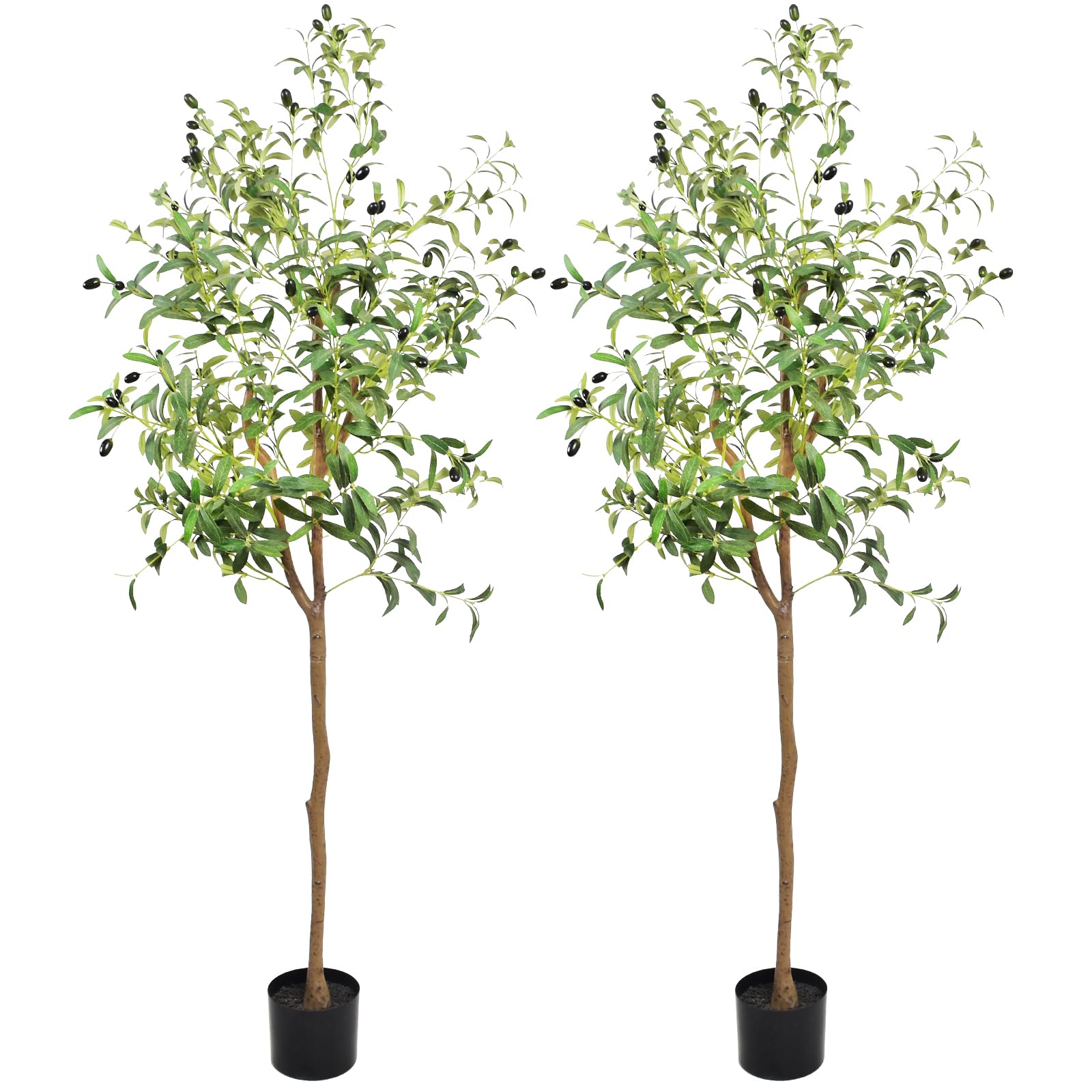 IISG07-171 spanish forest Facts Activity Bk.pmd, image size:1600x1600