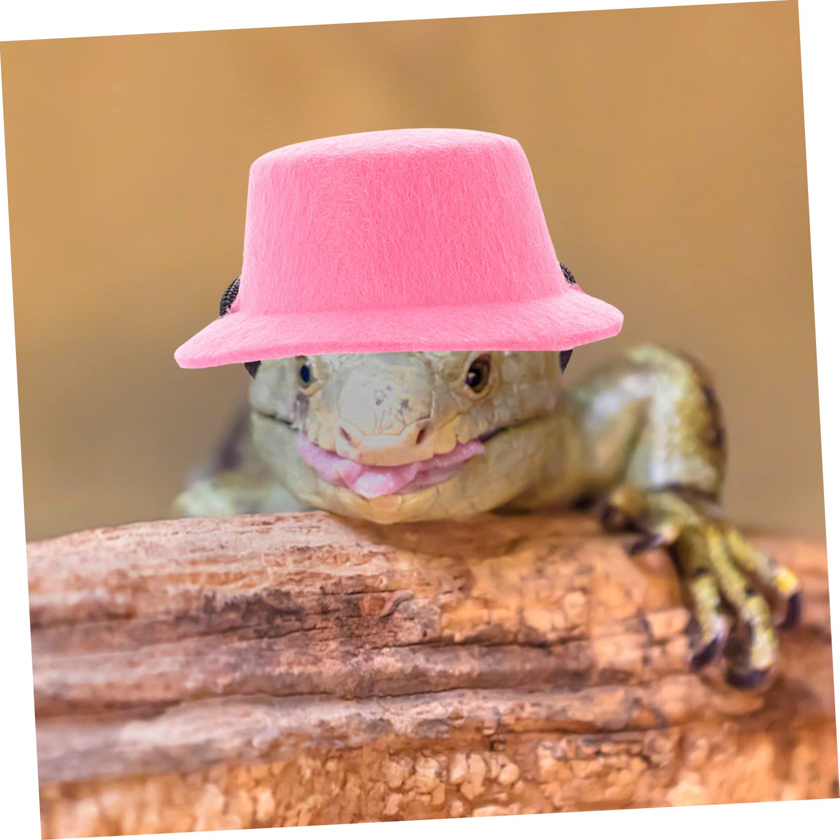 Yardwe 4sätze Lizard Mit Verstellbarem Gurt Und Hut Bartagamen Für Outdoor- Pinke Geschenkoption Für Reptilienliebhaber