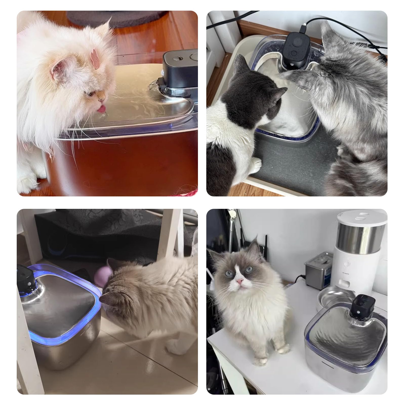 Fontanella per Gatti Senza Fili Acciaio, Fontanella per Cani A Batteria, Dispenser Acqua Animali con Filtri, 4.5L Fontana per Gatti Ultra Silenziosa