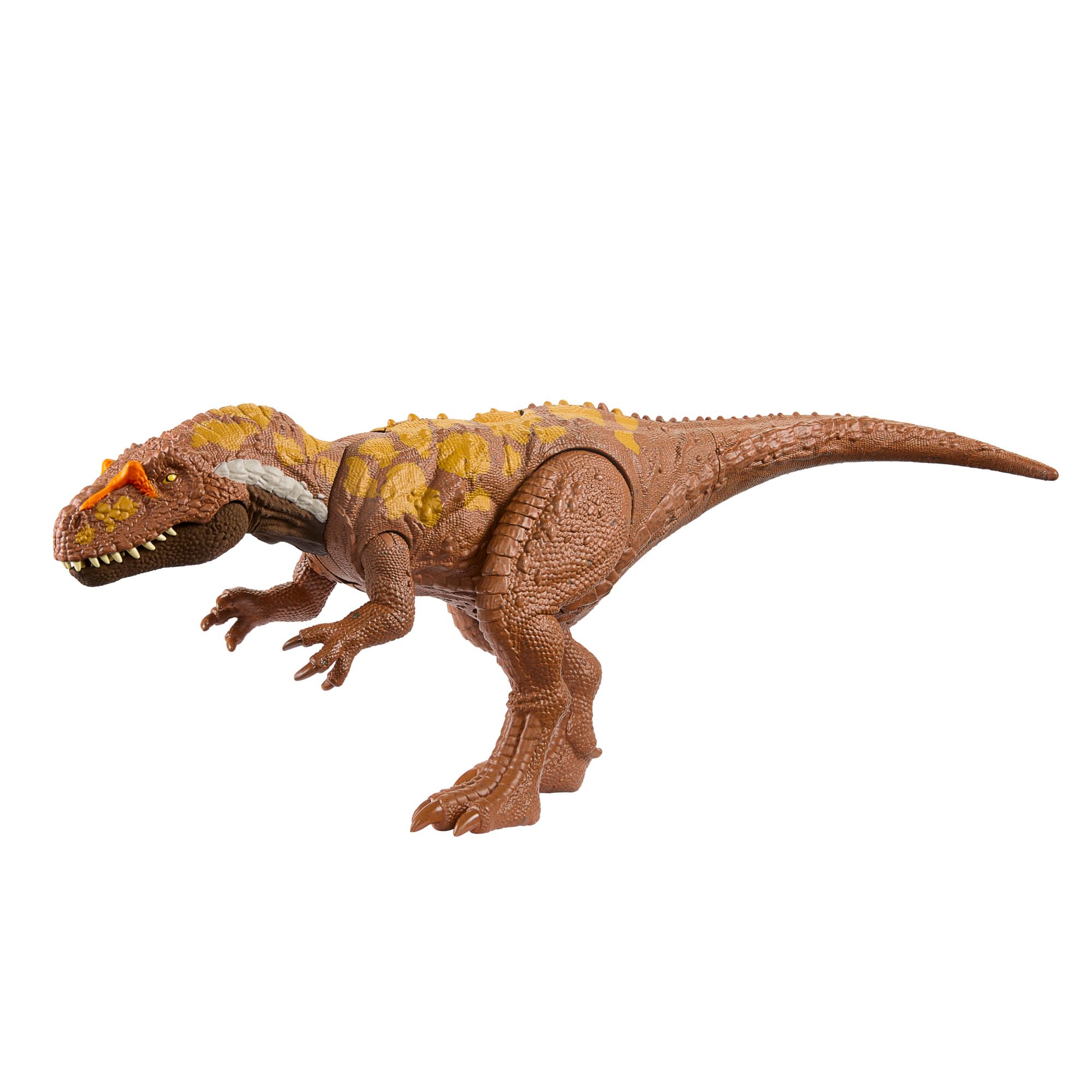 Mattel Jurassic World - Megalosauro Ruggito Selvaggio, dinosauro snodato con azione d'attacco specifica e ruggito, gira la rotella e attiva il morso, giocattolo per bambini, 4+ anni, HTK73
