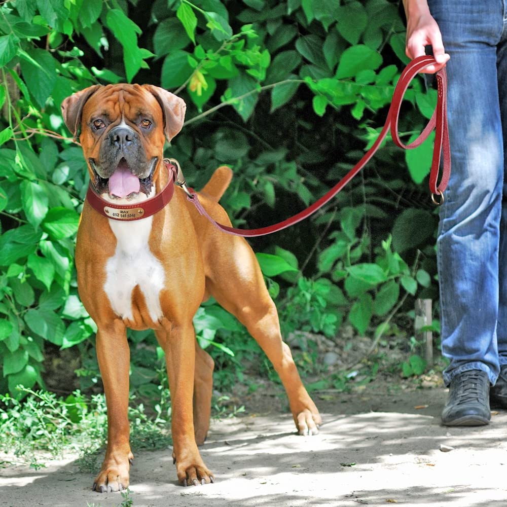 Collier personnalisé en Cuir pour Chien,Collier Personnalisé en Cuir,Cadeau Personnalisable,Collier réglable pour Animal de Compagnie pour Chiens de Petit Moyen Grand (Red Set,L)