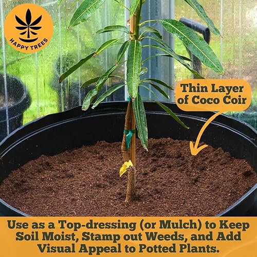 Miniatura 7 de Happy Trees Coco Coir - Medio de cultivo de fibra de coco suelto, mezcla para macetas, inicio de semillas, calidad premium, triple lavado para baja