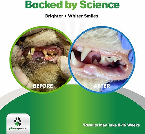 Miniatura 3 de Polvo de cuidado dental para gatos, más fácil que la pasta de dientes, alternativa a las golosinas dentales para la eliminación de placa, polvo de