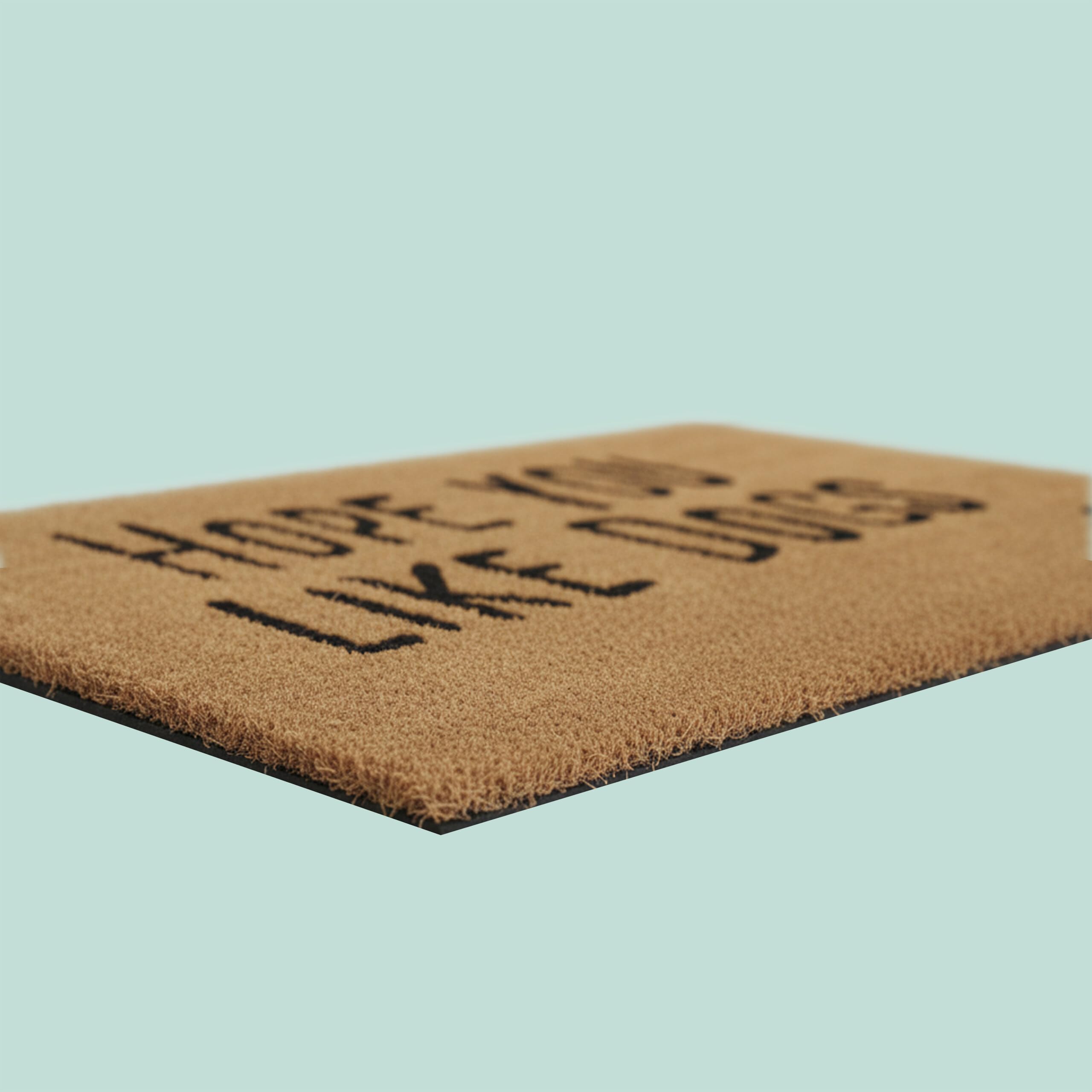 Relaxdays Felpudo de Coco Antideslizante para Mascotas, Resistente a la Intemperie, 80 x 50 cm, Natural/Negro