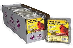 Heath Bird Suet: Nourishing Delight for Wild Birds