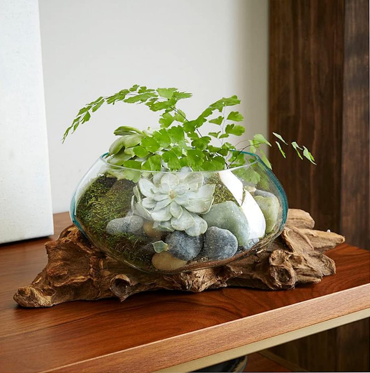 OMA Hand Blown Molten Glass Bowl on Driftwood – Unique Vase, Planter, Terrarium or Candle Holder – Eco-Friendly Recycled Glass & Natural Wood Centerpiece and Artisan Gift - Large Size