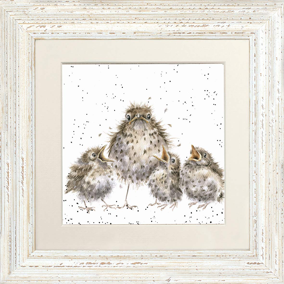 Wrendale Designs Distressed White "Frazzled Owl And Chicks Framed Picture In Various Frame Colours (Distressed White)