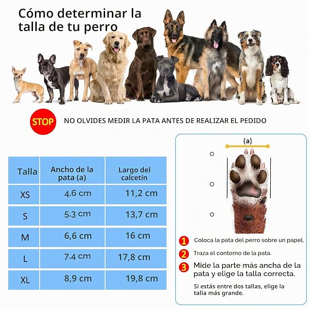 Foto 5 de 6 de Calcetines Antideslizantes para Perros, Calcetines para Perro pavimento frío/Caliente