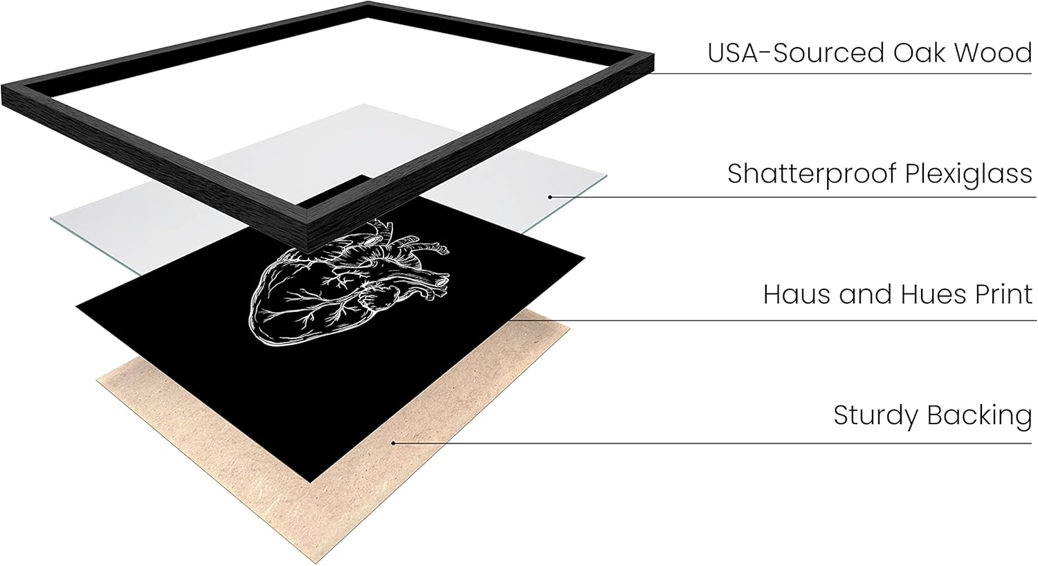 HAUS AND HUES Black and White Wall Decor - Heart Anatomy Art Poster, Dark Academia Goth Room Decor, Unique Anatomy Wall Print for Bedroom or Living Room (Black Frame, 12x16)