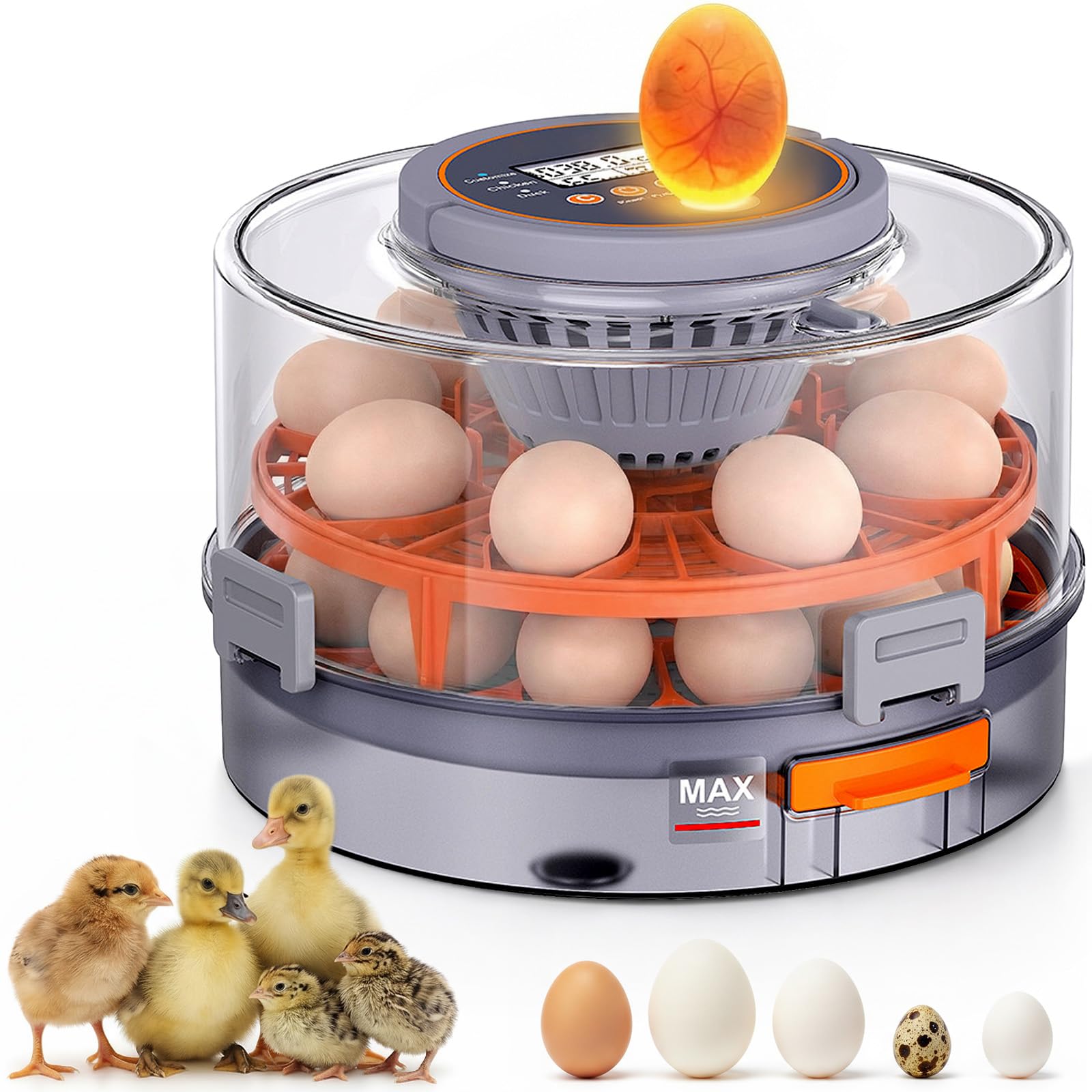 Incubadora totalmente automática, incubadora totalmente automática para 12 huevos, con giro automático de los huevos, control de temperatura y lámpara de cizalla especial