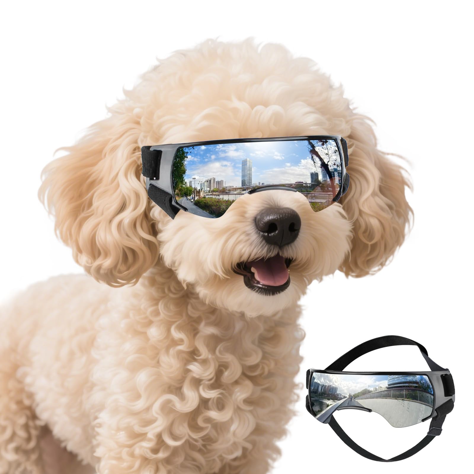 Lunettes de soleil pour chien de petite race et protection UV outdoor