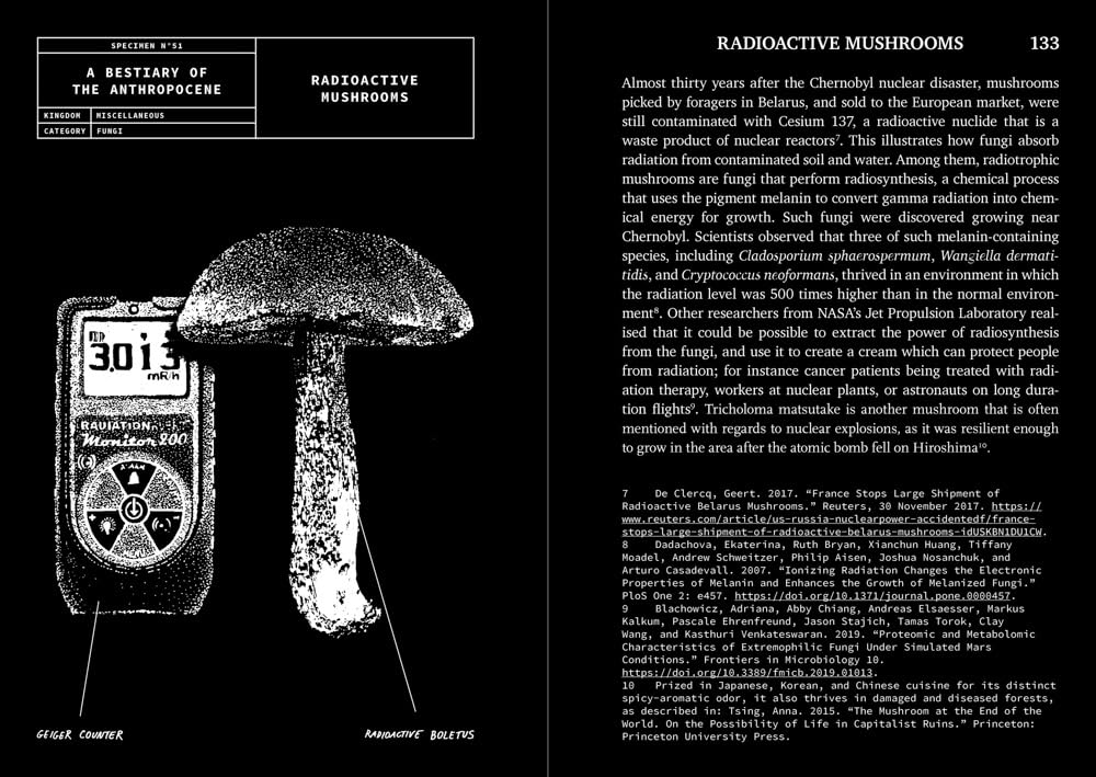 A Bestiary of the Anthropocene: Hybrid plants, animals, minerals, fungi, and other specimens