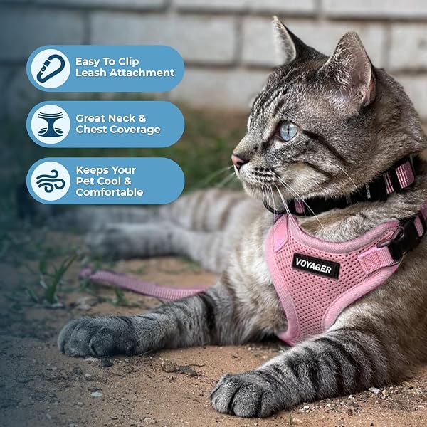 Voyager Step-in Lock Cat Harness and Reflective Cat Leash with Neoprene Handle by Best Pet Supplies - Supports Small, Medium and Large Breed Cats, Pink, size XXXS - 5ft - 5