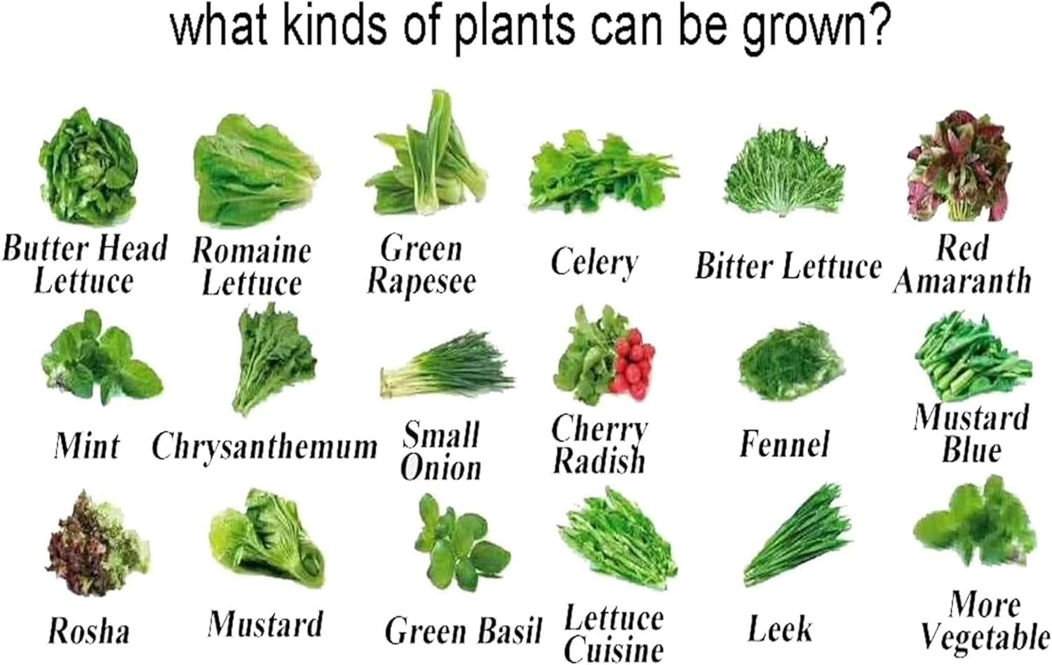 FLTRGO Hydroponics Growing System 72 Sites 8 Pipes Hydroponic Grow Kit Garden Planting Equipment Nft Soilless Balcony Indoor Greenhouse Tool Lettuce Strawberry Hydroponic Tower